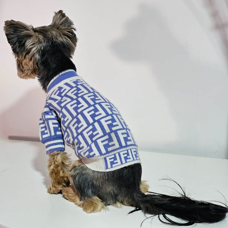 Yorkie Furdi Sweater