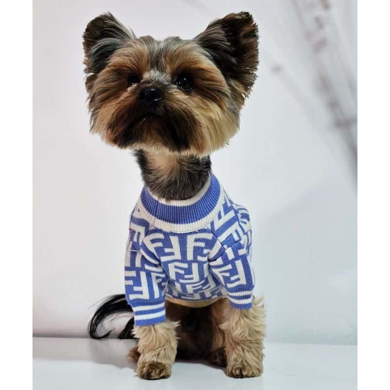 Yorkie Furdi Sweater Blue