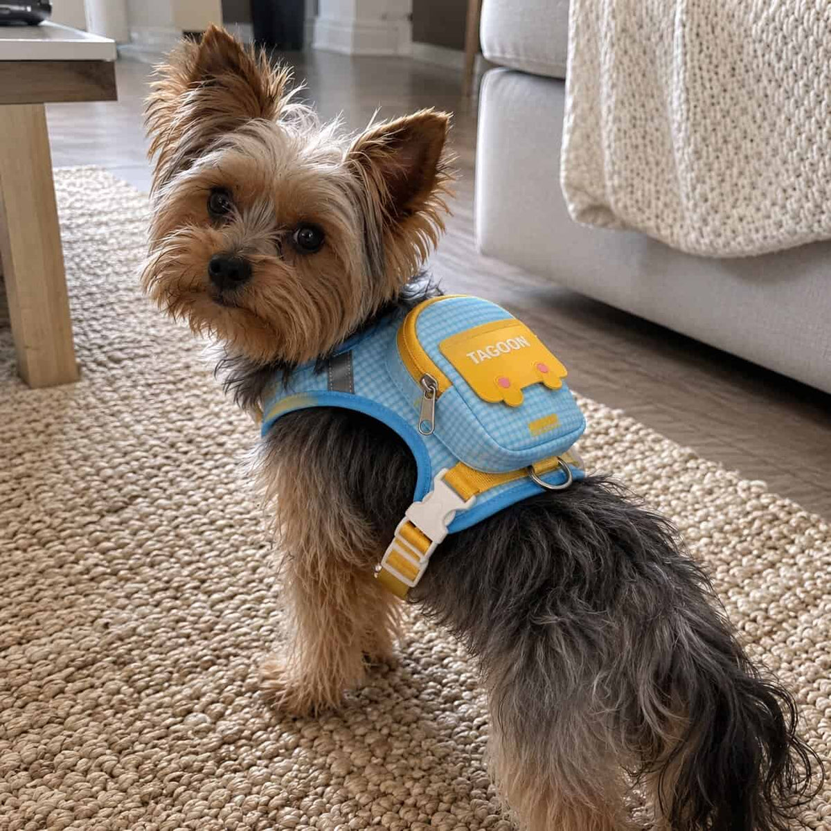 Yorkie School Backpack