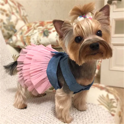 teacup yorkie clothes yorkie dress