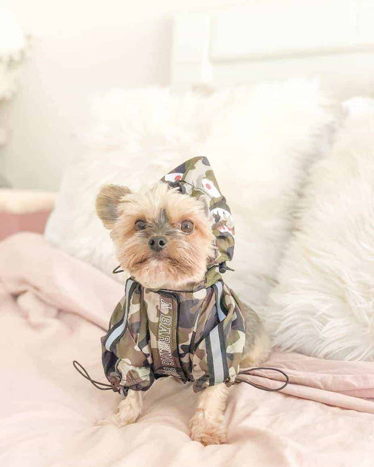 a-barking-pup-camo-dog-windbreaker