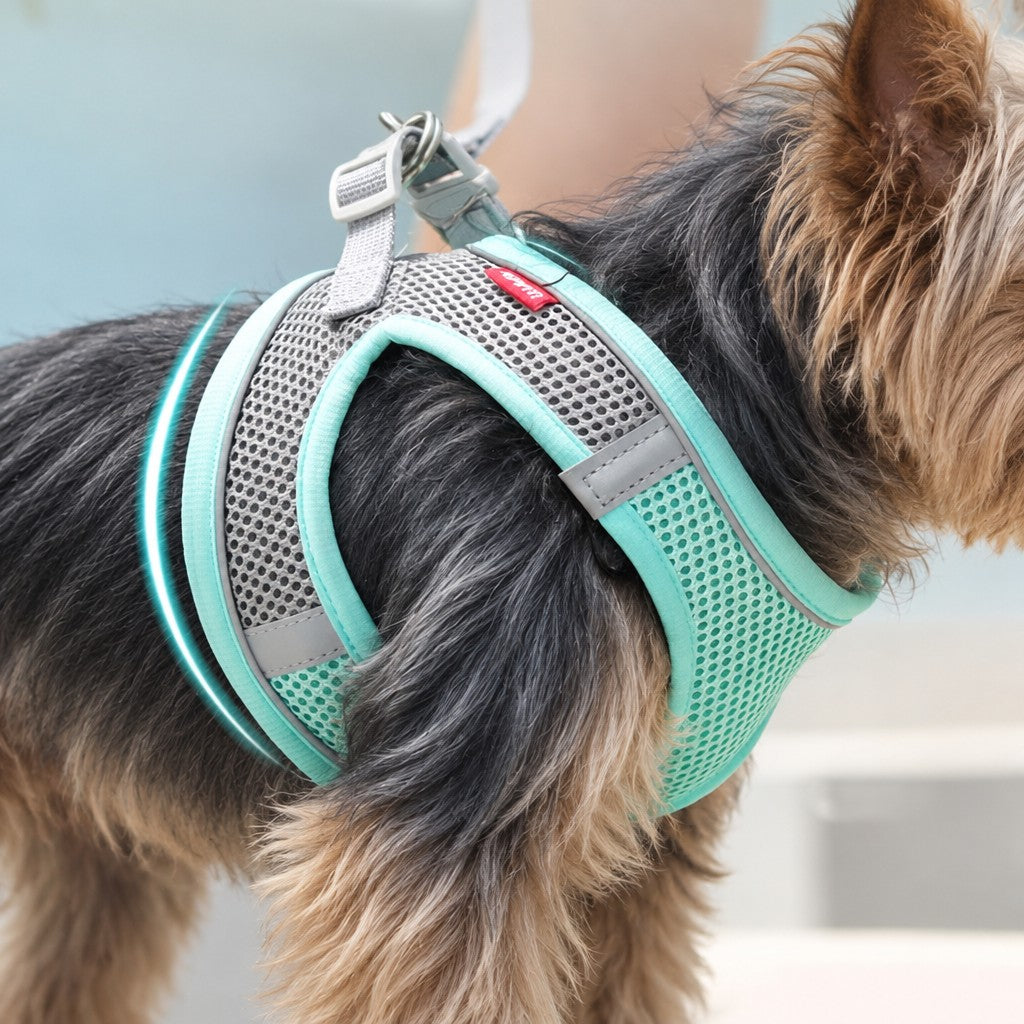 Breathable Mesh Yorkie Harness