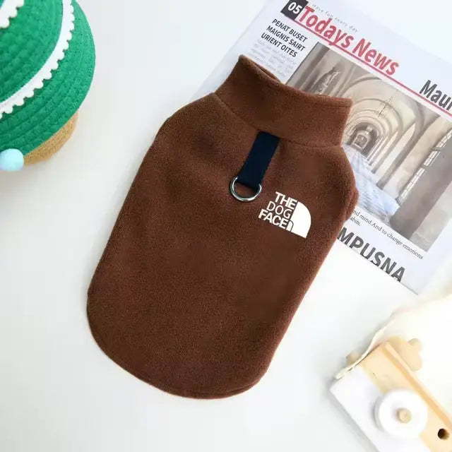 Warm Yorkie Coat Brown Yorkies Gram