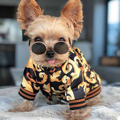 boston terrier hoodie