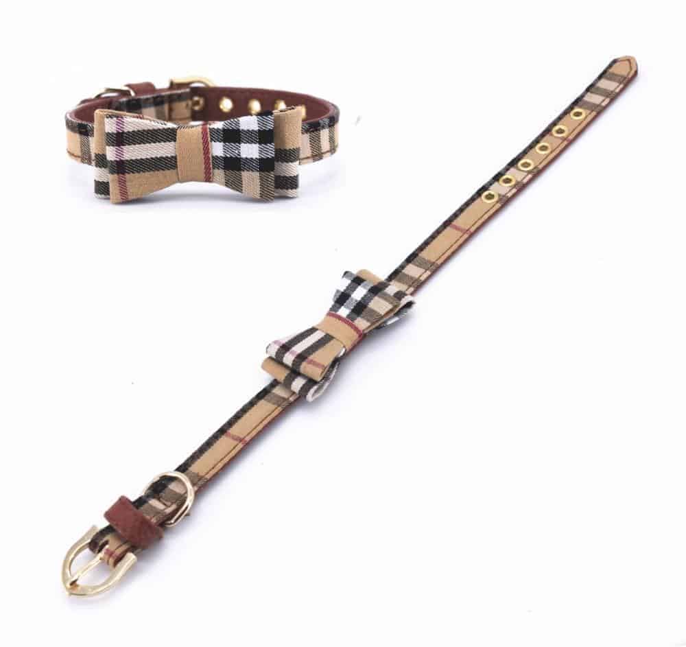 furberry-yorkie-leash-and-bowtie-collar
