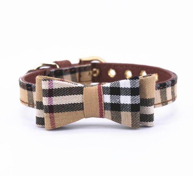 furberry-yorkie-leash-and-bowtie-collar