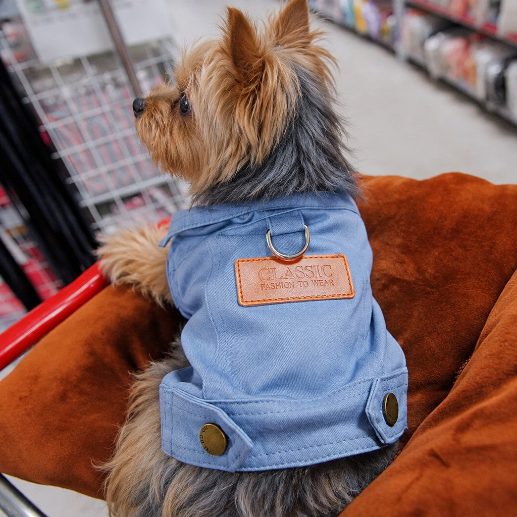 Denim Dream Yorkie Jacket