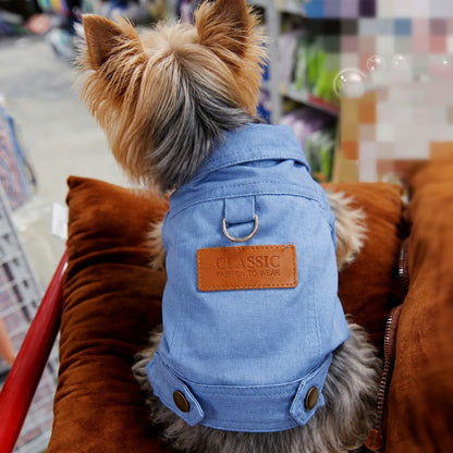 Denim Dream Yorkie Jacket