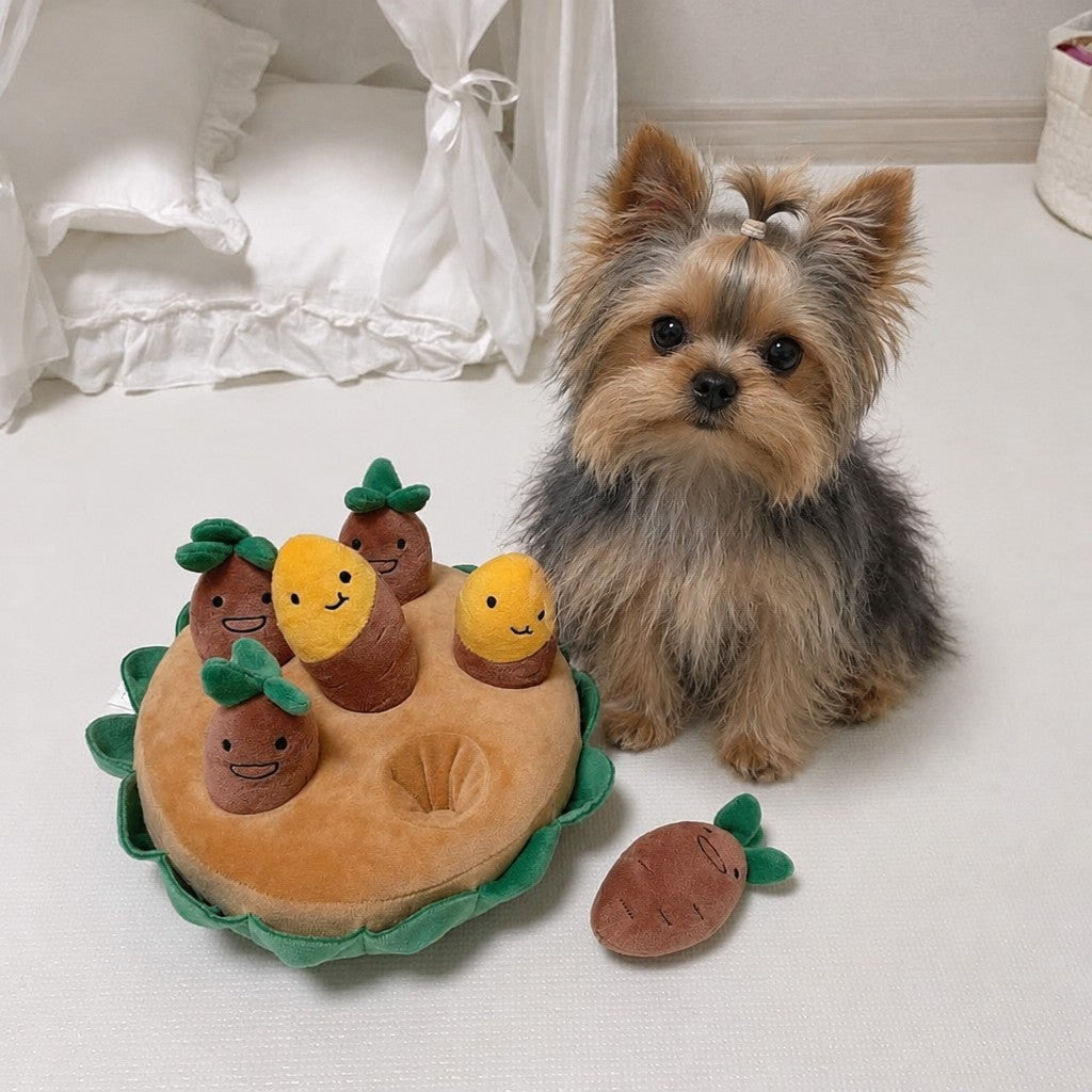 Dog Carrot Snuffle Mat