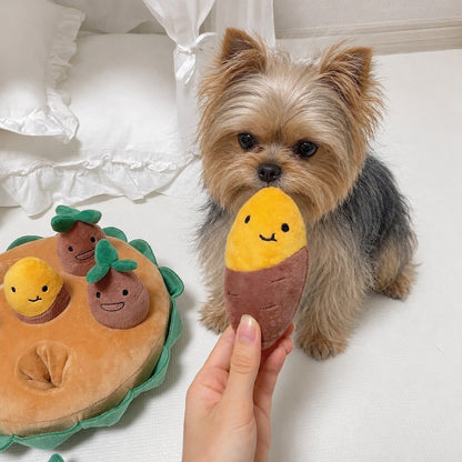 Dog Carrot Snuffle Mat