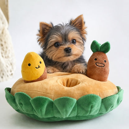 Dog Carrot Snuffle Mat