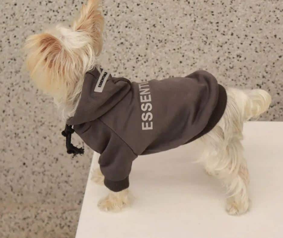 essentials Yorkie hoodie