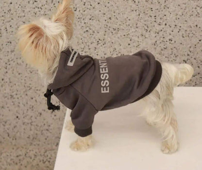 essentials Yorkie hoodie