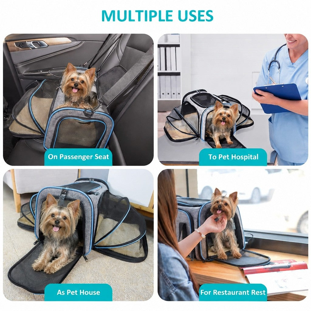Expandable Yorkie Carrier