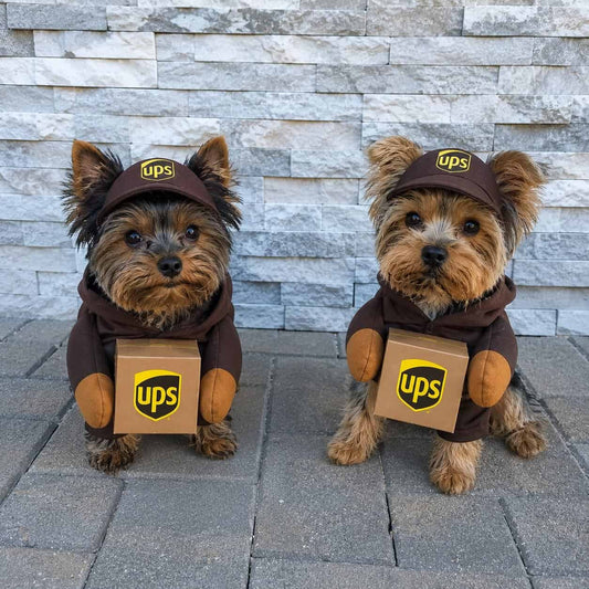 UPS Yorkie Costume