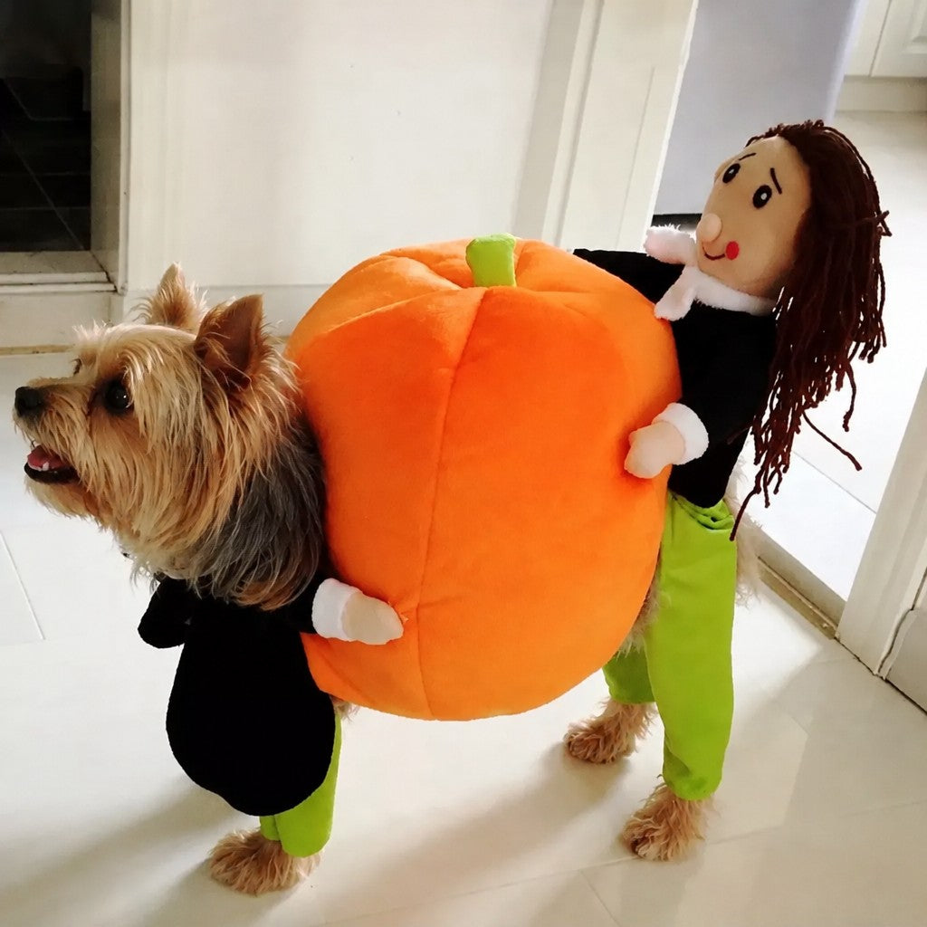 Halloween Yorkie Costume