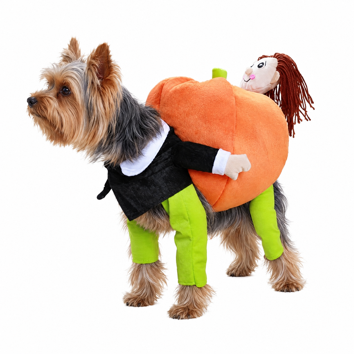 Halloween Yorkie Costume - Yorkie