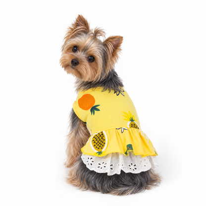 Summer Vibes Yorkie Dress - Yellow
