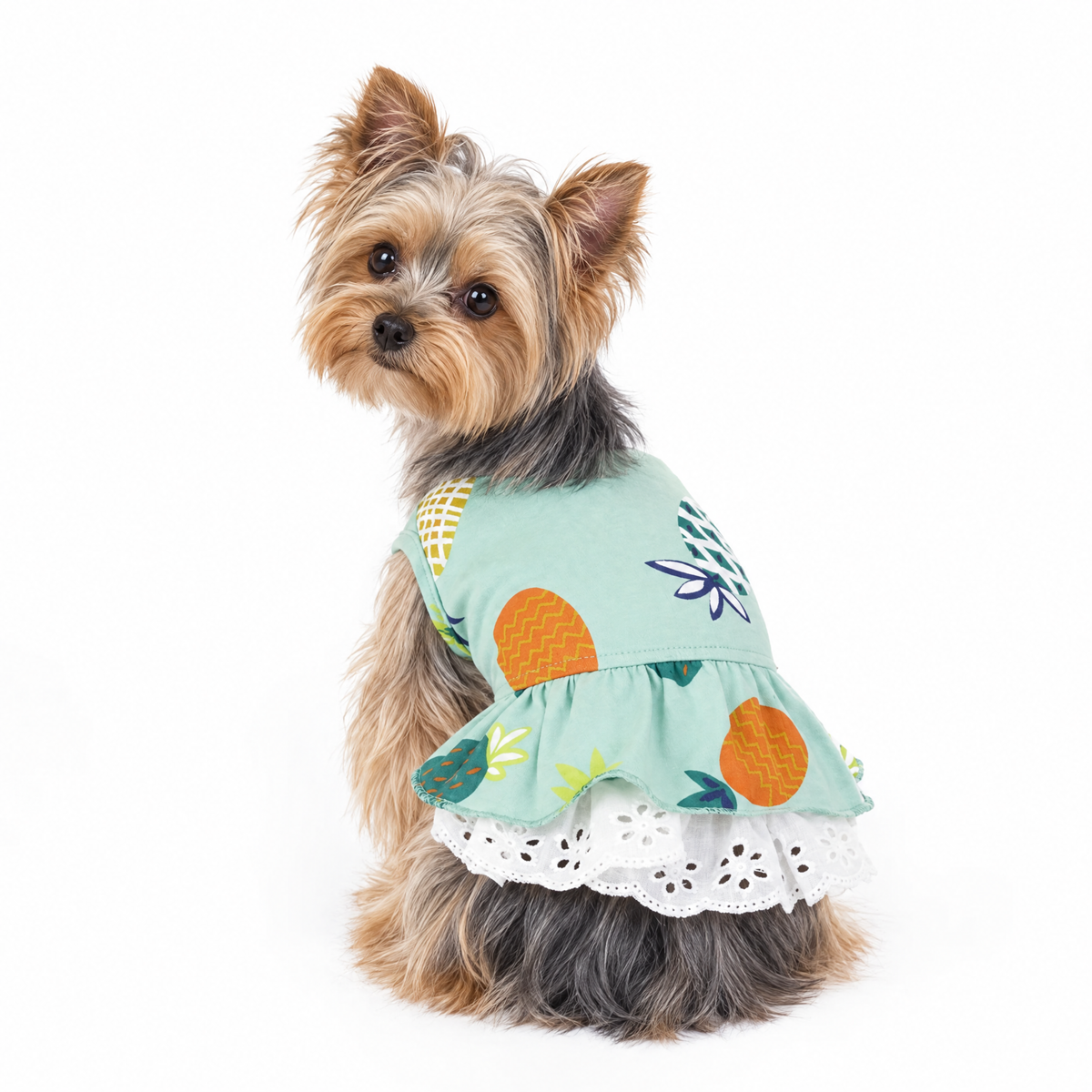 Summer Vibes Yorkie Dress - Green