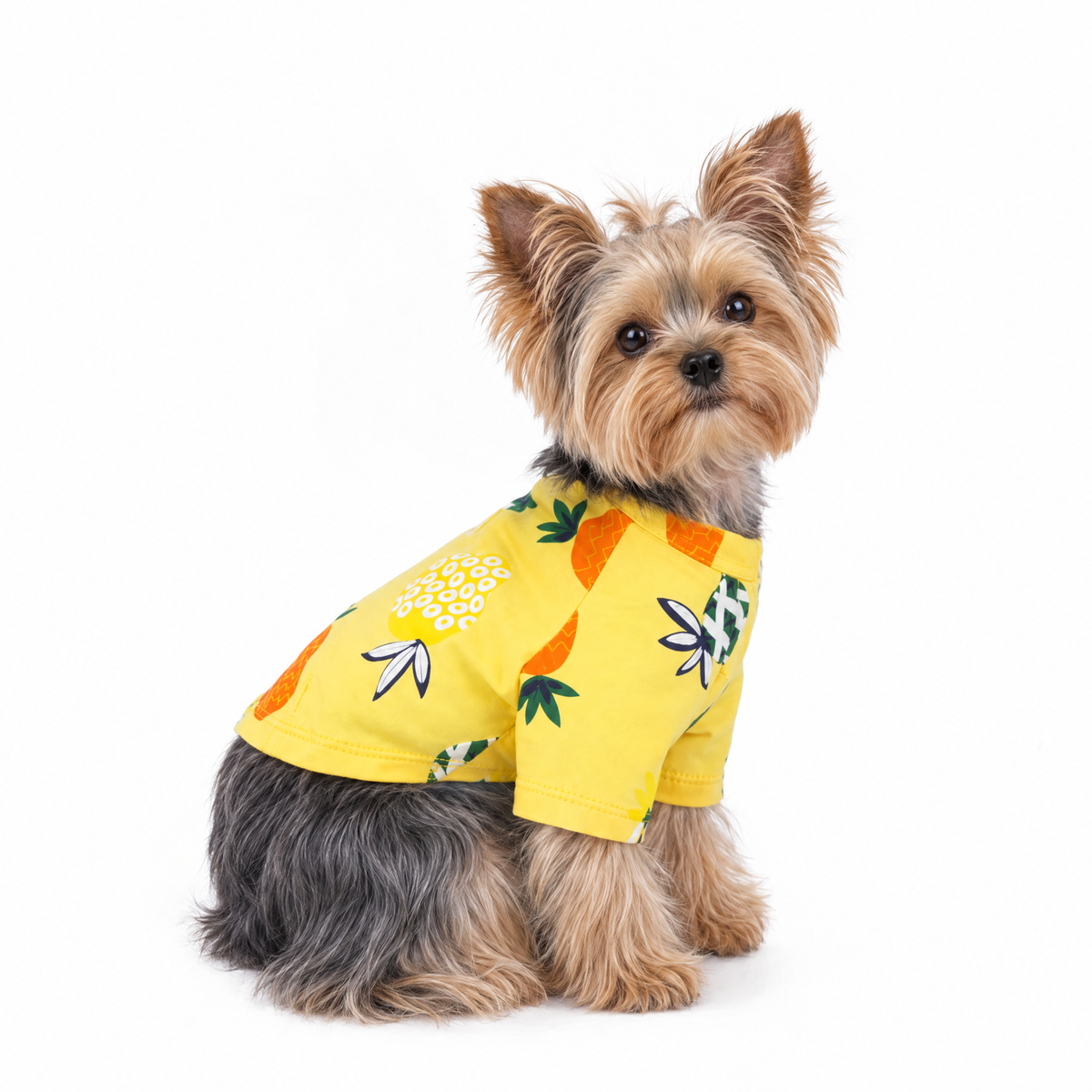 Summer Vibes Yorkie Dress - Orange