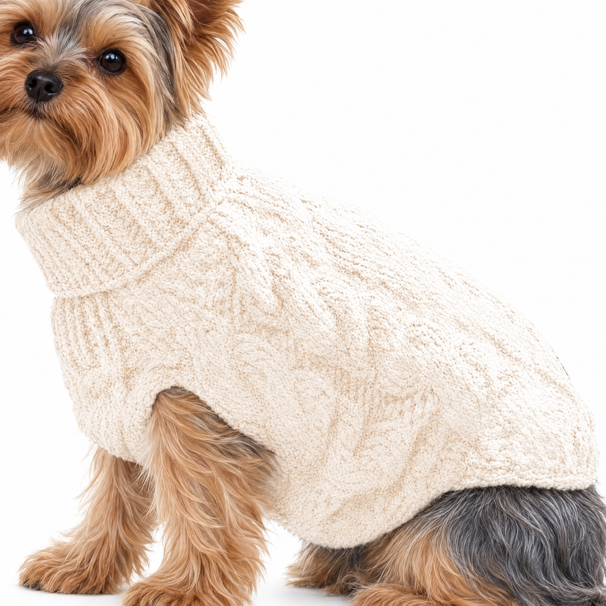 Soft Yorkie Sweater - White