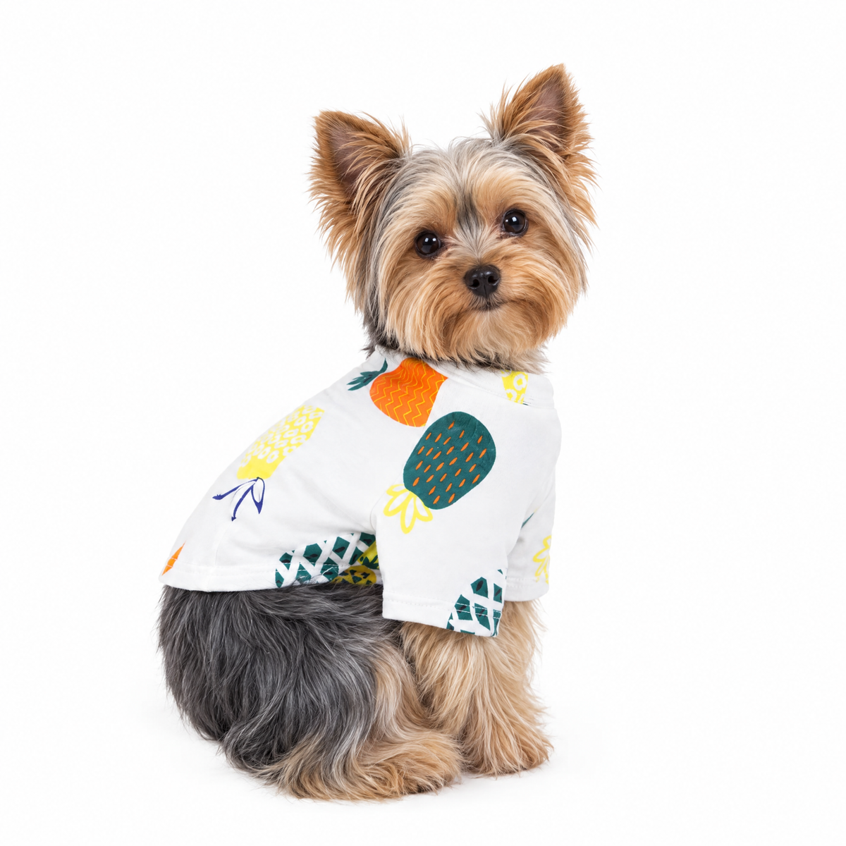 Summer Vibes Yorkie Dress - White