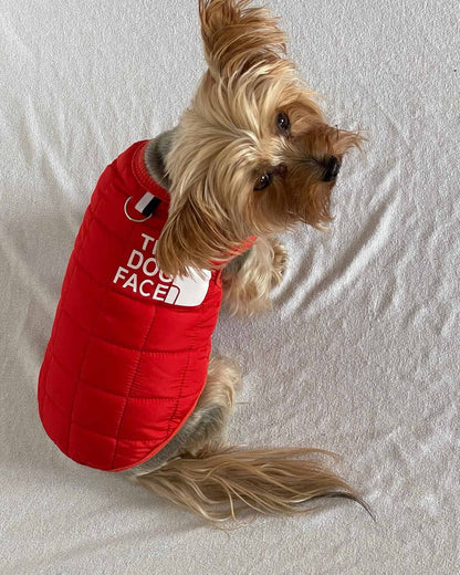 The Dog Face Yorkie Vest Jacket