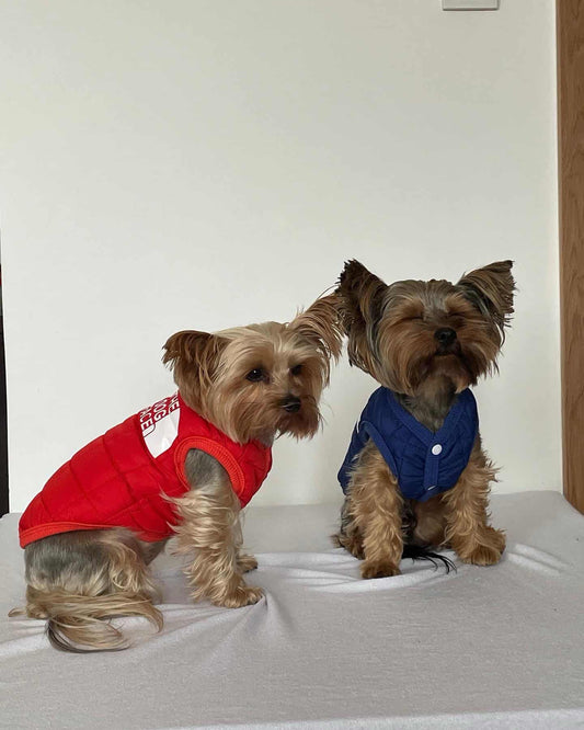 The Dog Face Yorkie Vest Jacket