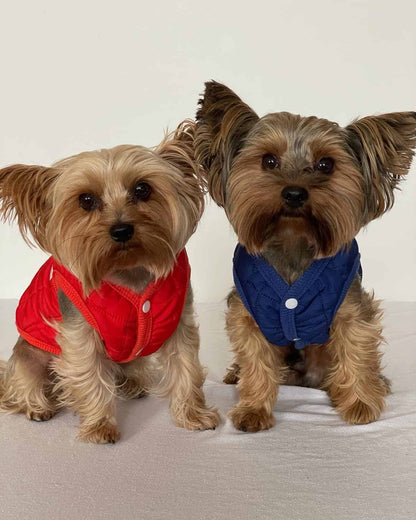 The Dog Face Yorkie Vest Jacket