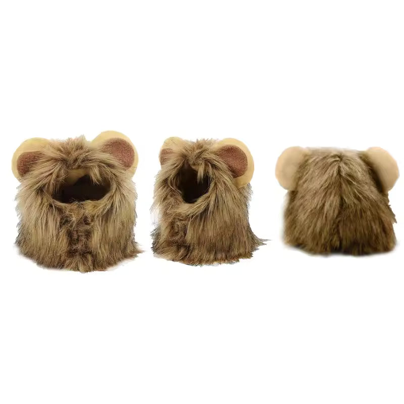lion yorkie costume