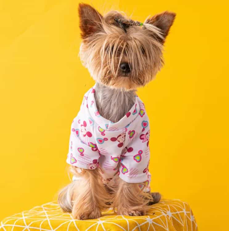 mm yorkie sweatshirt