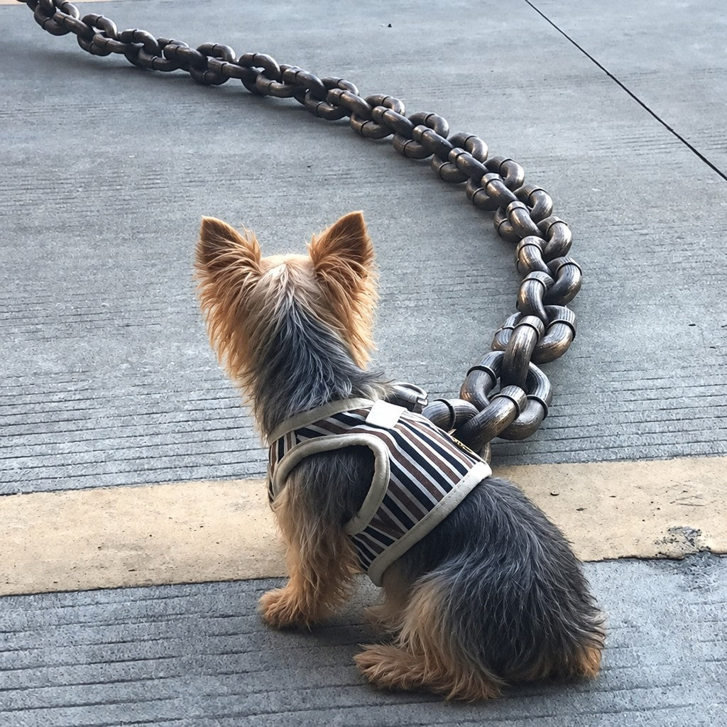 Monster Dog Chain Leash