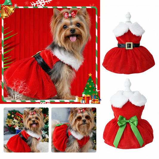 New Year and Christmas Yorkie Clothes