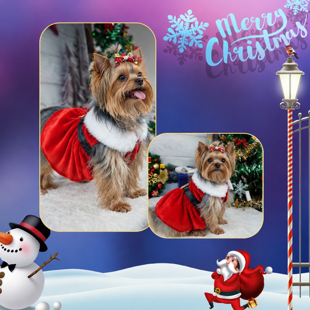New Year and Christmas Yorkie Clothes