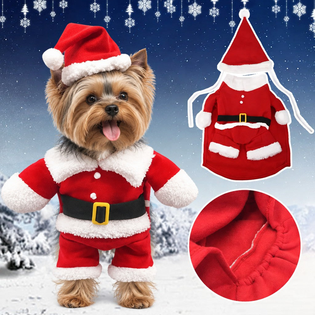New Year and Christmas Yorkie Clothes