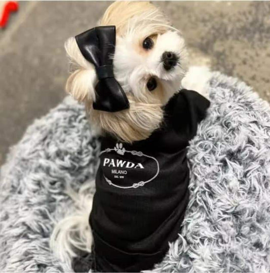 pawda yorkie vest