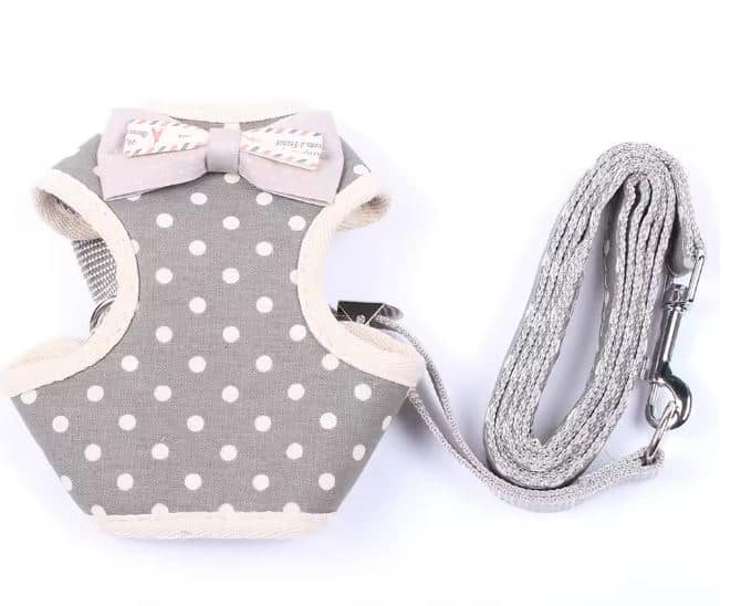 polka dot yorkie harness