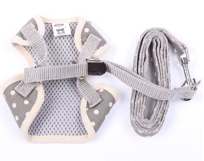 polka dot yorkie harness