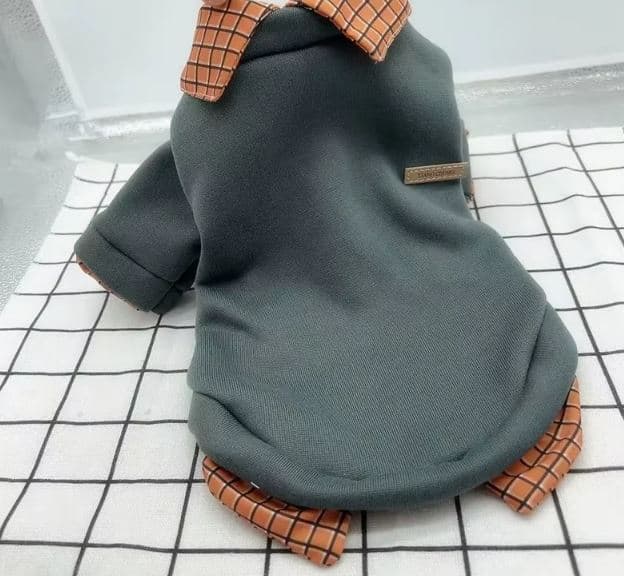 polo yorkie sweatshirt