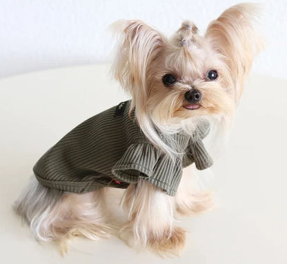 ribbed yorkie shirt