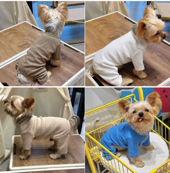 soft yorkie pajama