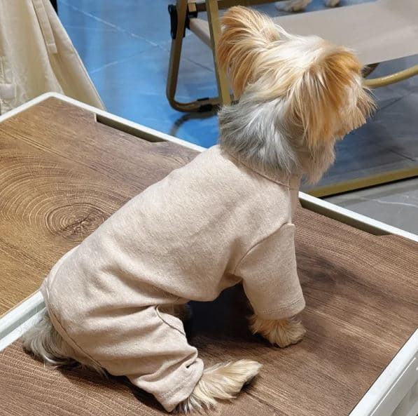 soft yorkie pajama