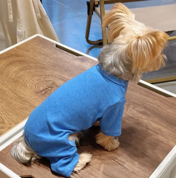 soft yorkie pajama