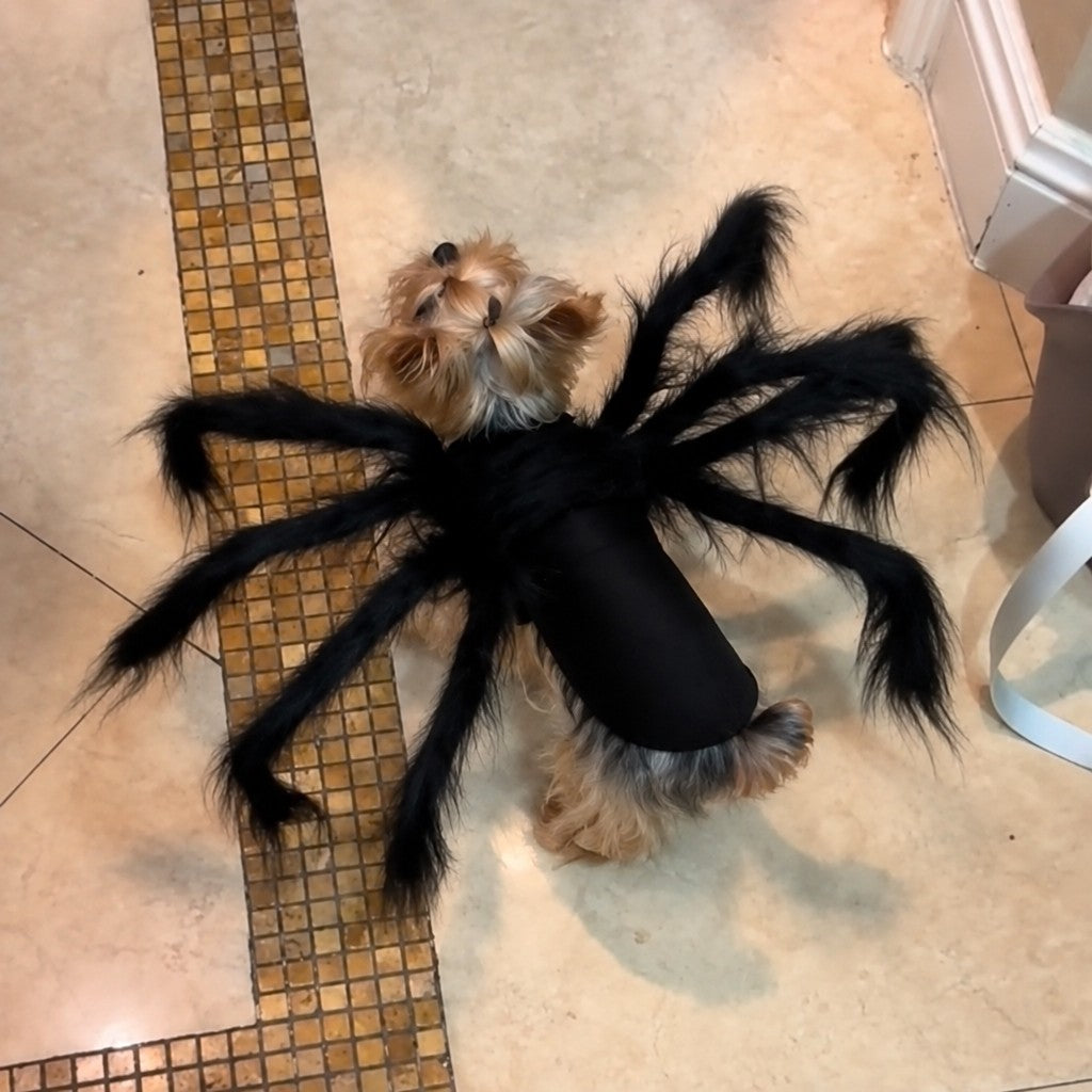Spider Halloween Yorkie Costume