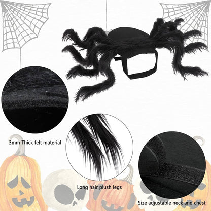 Spider Halloween Yorkie Costume
