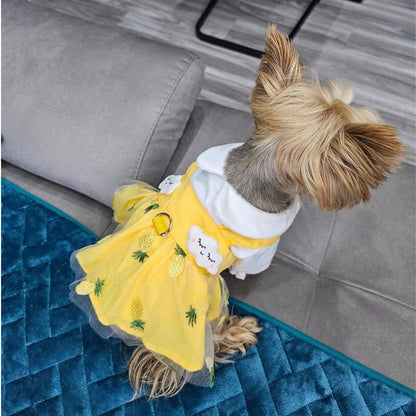summer cute yorkie dress