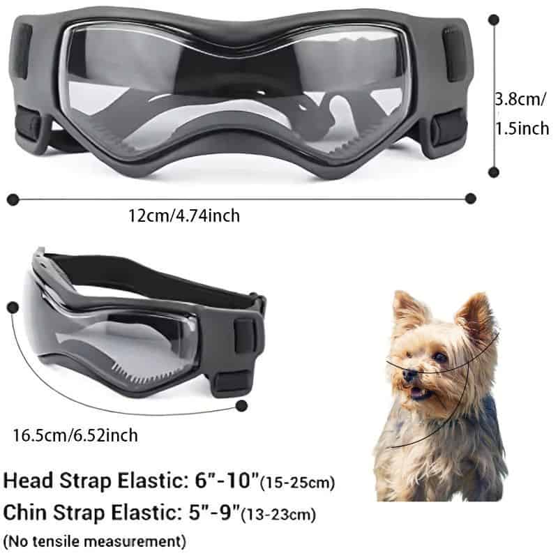 Yorkie Goggles