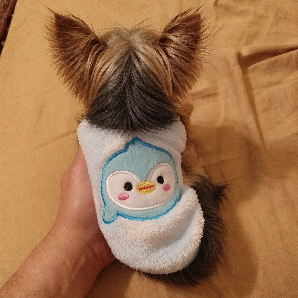 Teacup Yorkie Sweater