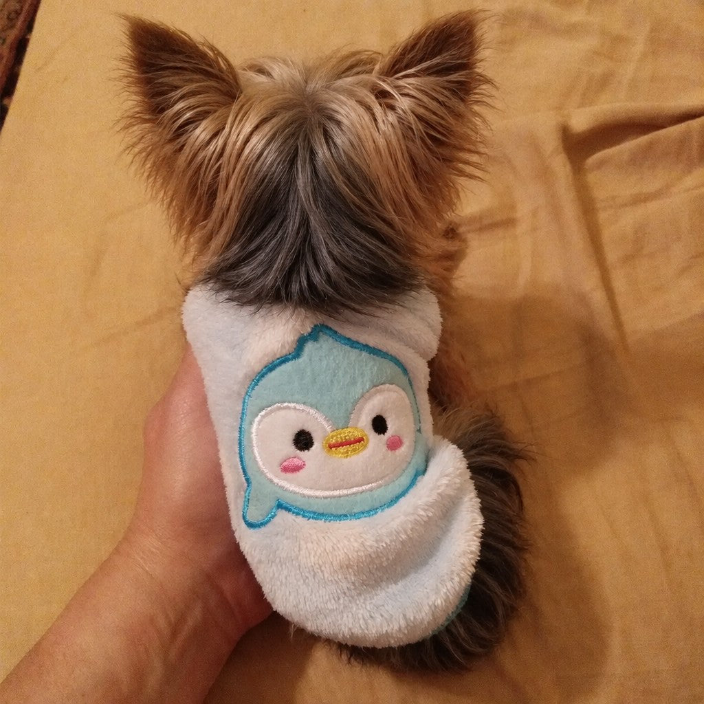 Teacup Yorkie Sweater