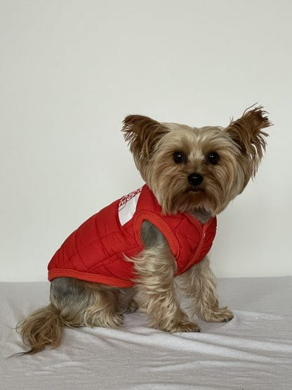 The Dog Face Yorkie Vest Jacket